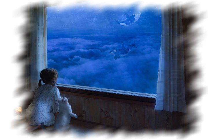 Волшебная ночь