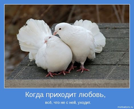 Спасибо добрая душа...