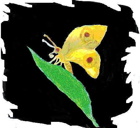 12. Бабочка-душа