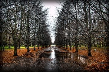 Кризис среднего возраста