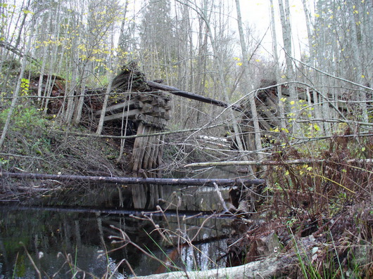 Маловишерская земля