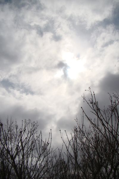 И снова о Сусанине