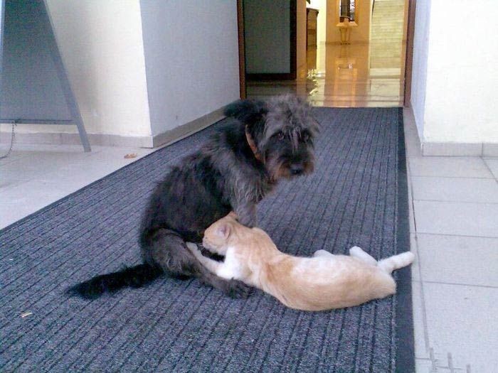 Наваждение... рассказ соседа