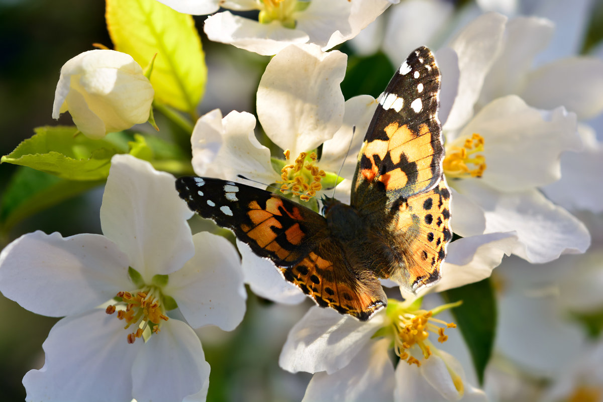 как будто снова мне шестнадцать