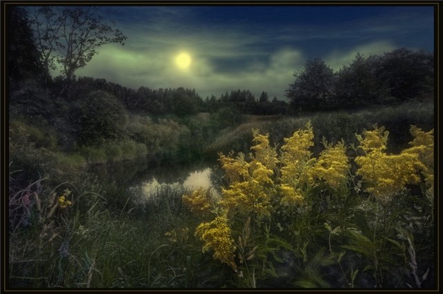 Сказка на ночь