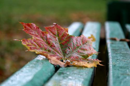 Люблю бродить я по московским переулкам...