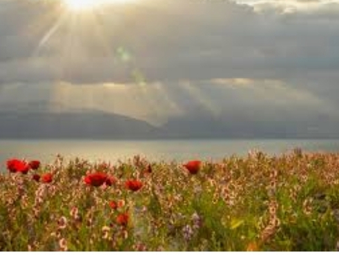 вспоминать не буду...