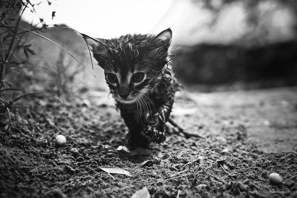 Одиночество