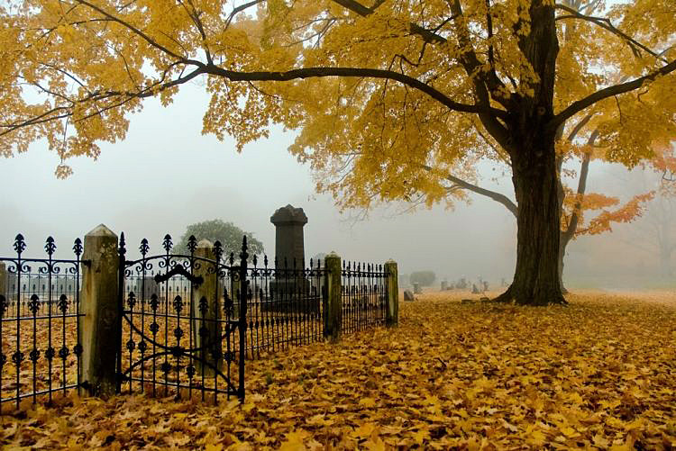 Друзья уходят