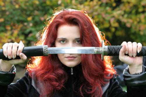 Клинок и щит