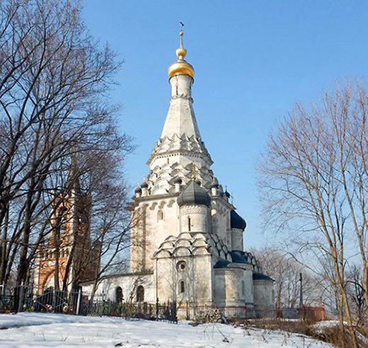 Лебедь белая