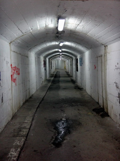 Подвалы, сырость, бабы, крысы...