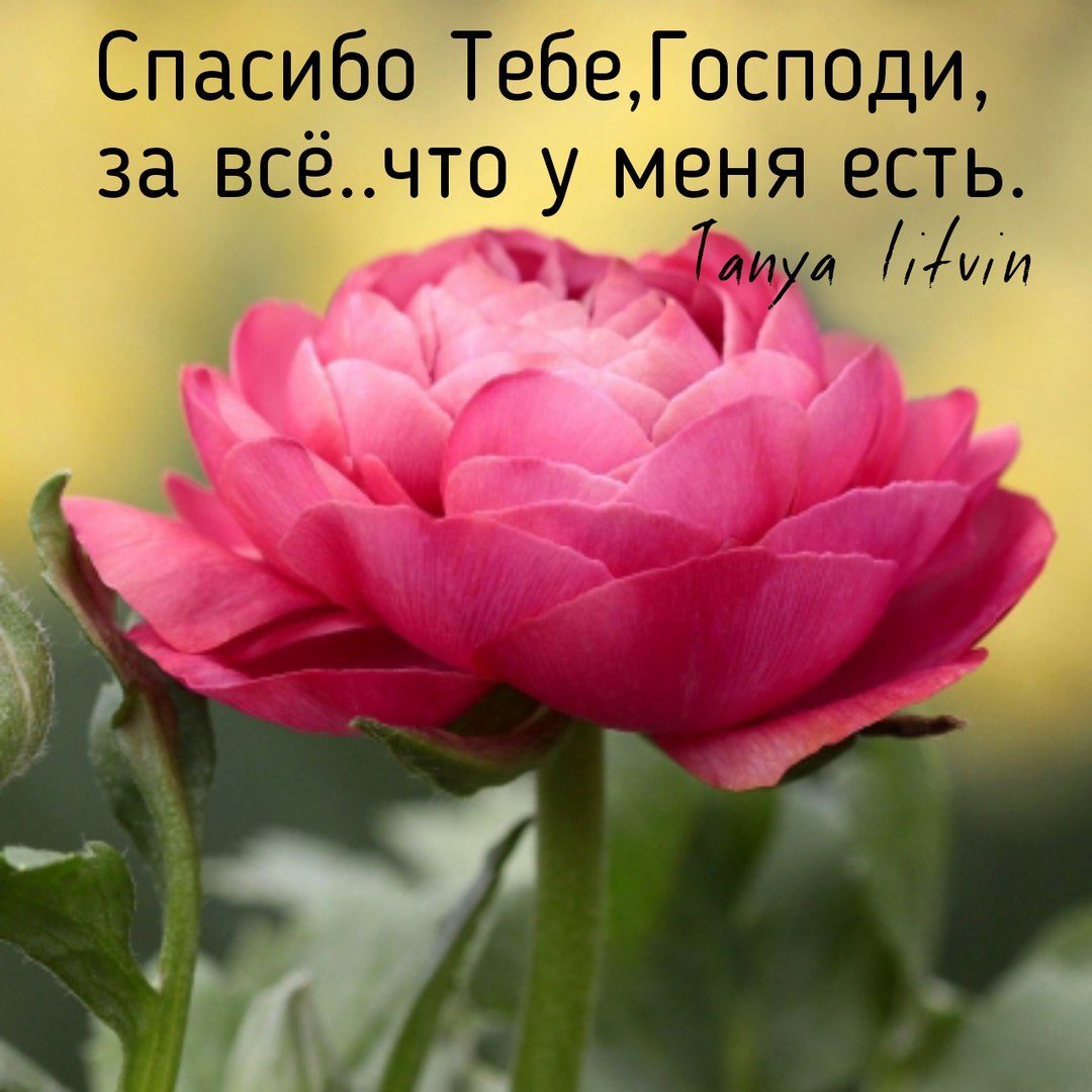 Где - то, за околицей, журавли кричат