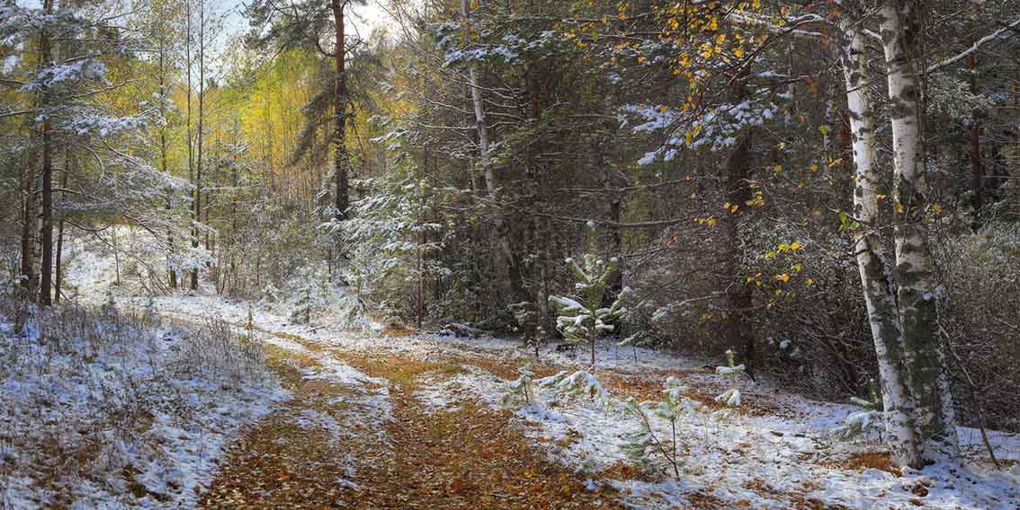 Осеннее грустно-плаксивое