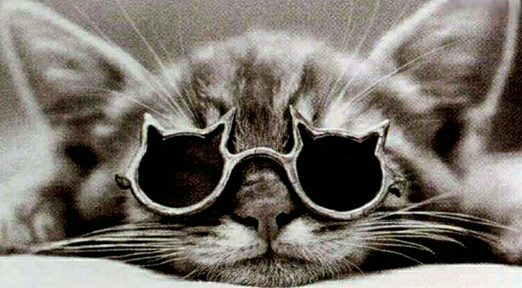 Стрельцом родившись, в год Кота...