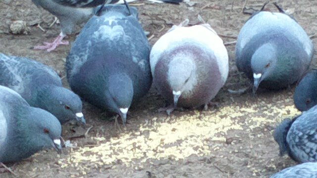 Вернусь, волнуюсь, а в прочем все равно...