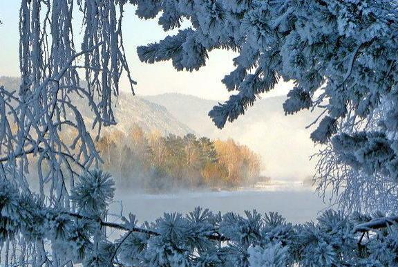 Лесная сказка