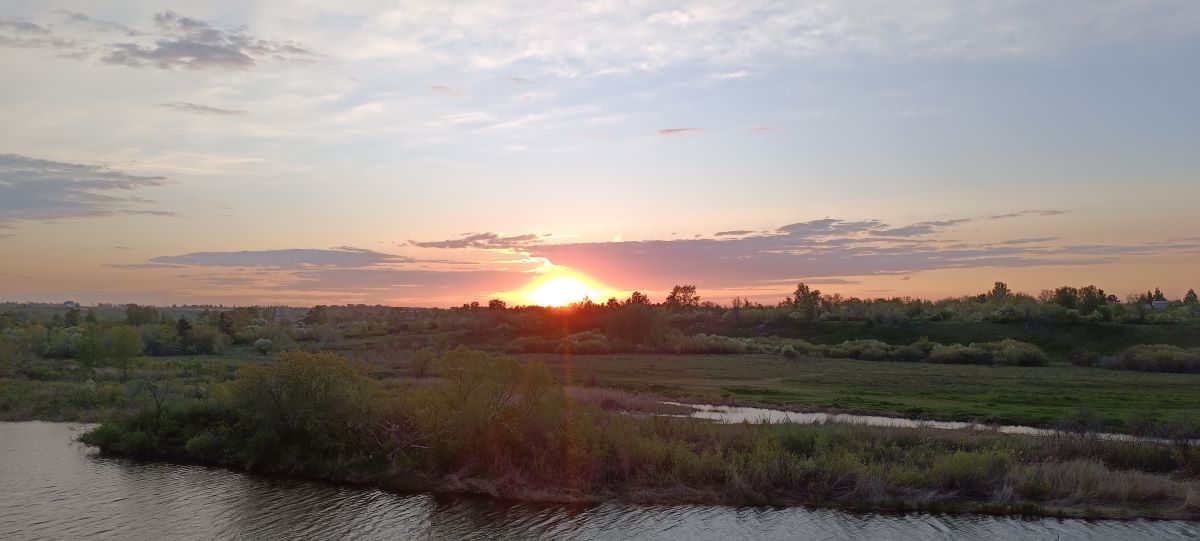 Не так все в нашем королевстве...