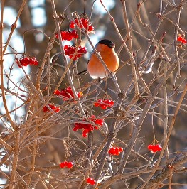 Что быть может главным
