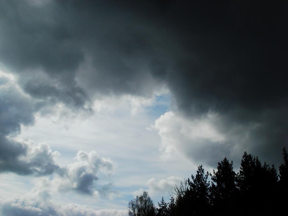 Чтоб серое небо, раскрылось в тиши