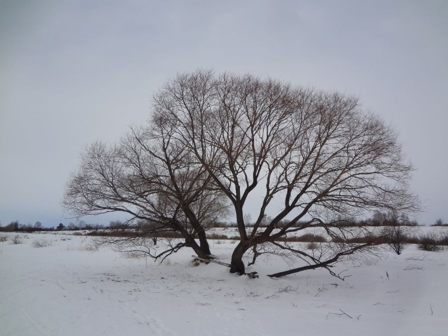 Путь Судьбы