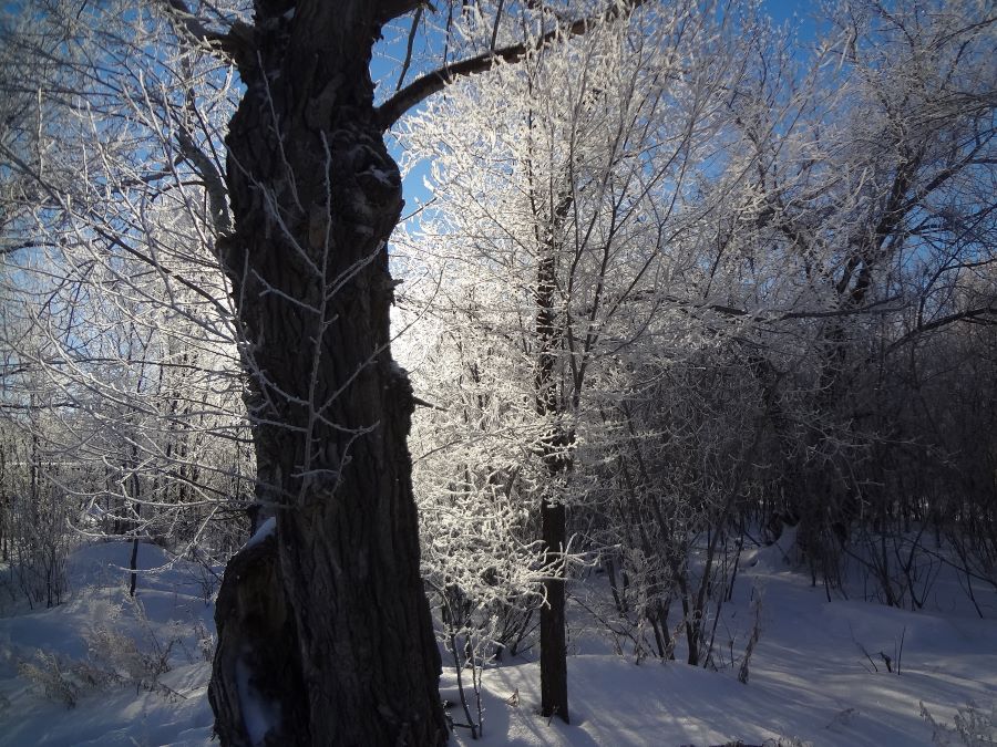 Истина и Правда