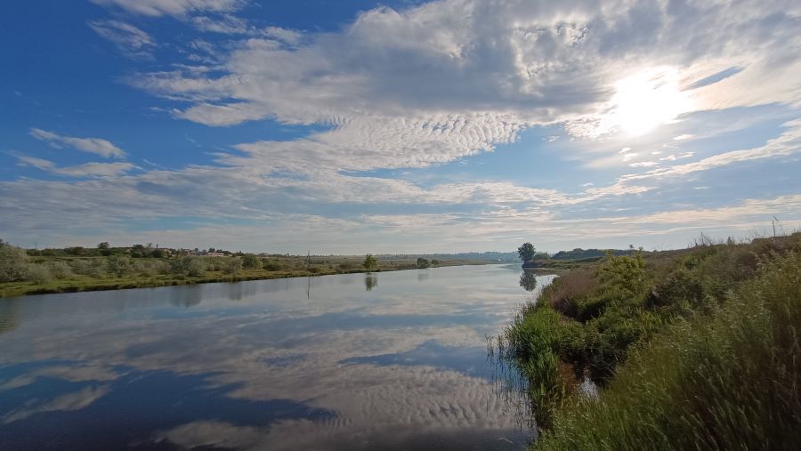 Машина времени