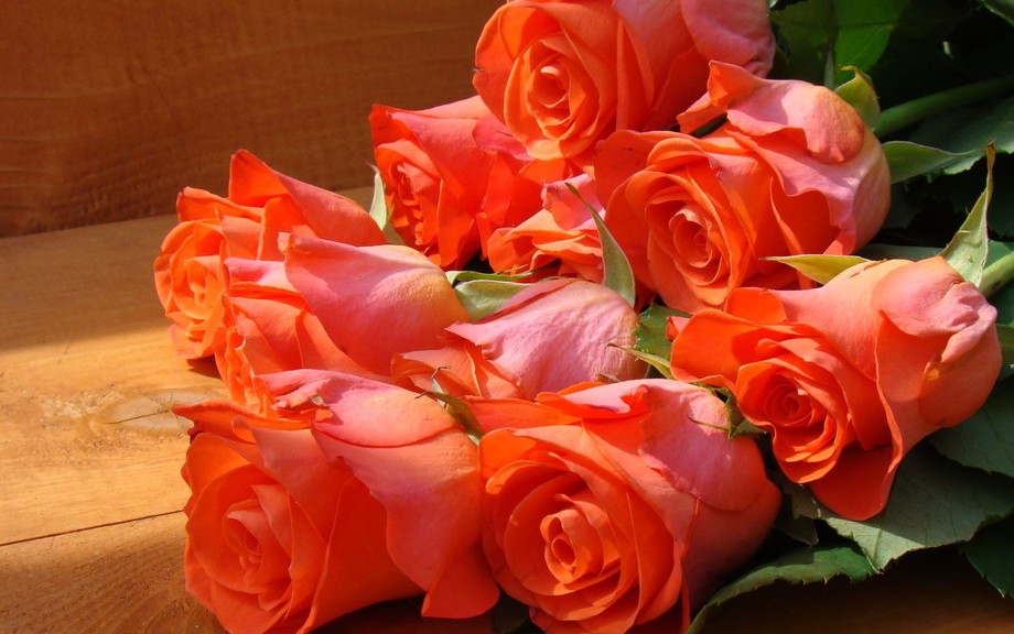 Роза - Королева цветов