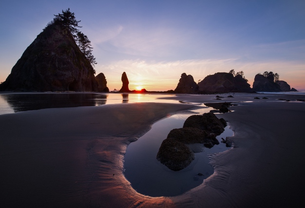 Я, как раненый зверь...