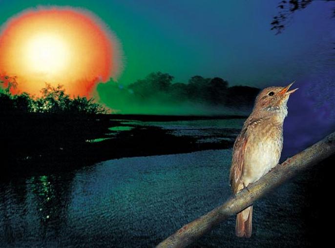 Депрессии не дам я места