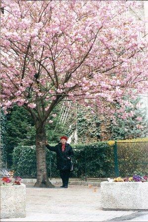 Розовый свет