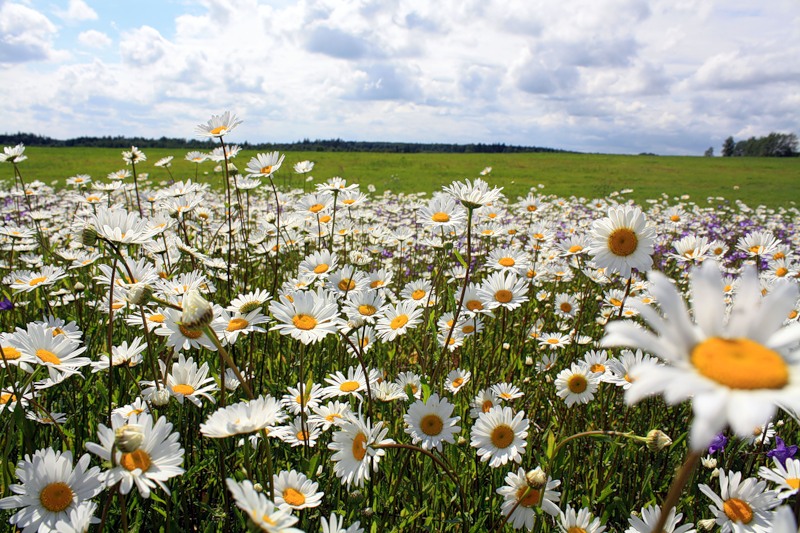 Возвращение