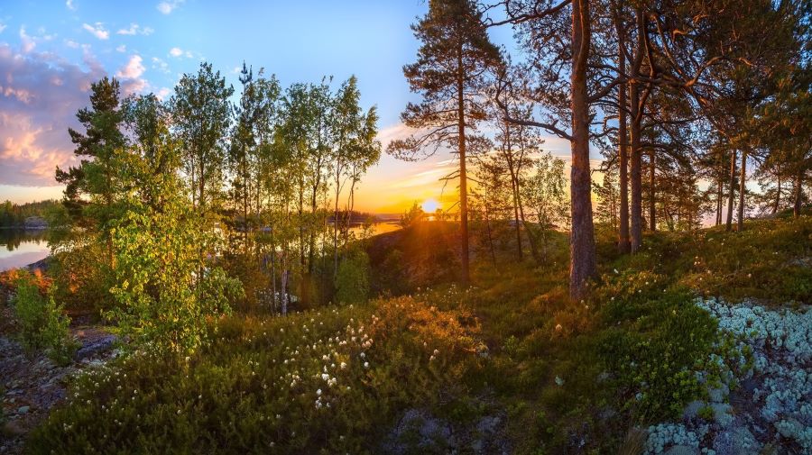 Вечер в Сибири