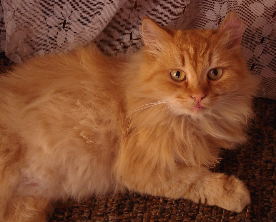 Прибежище души