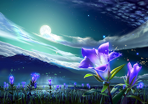 Июньская ночь