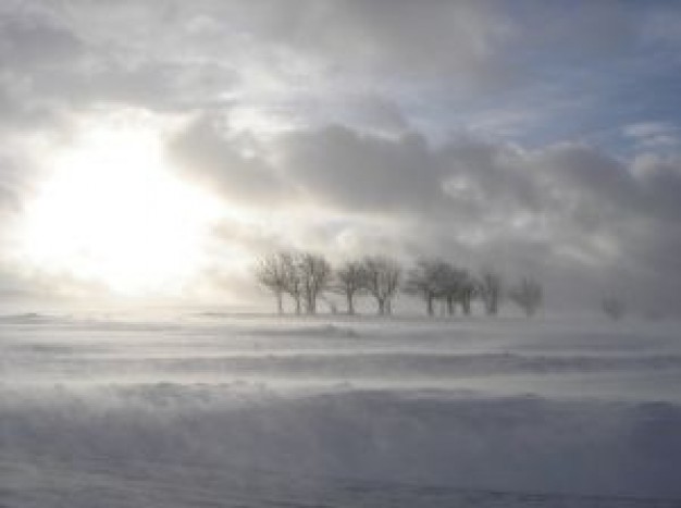 Зимняя метель