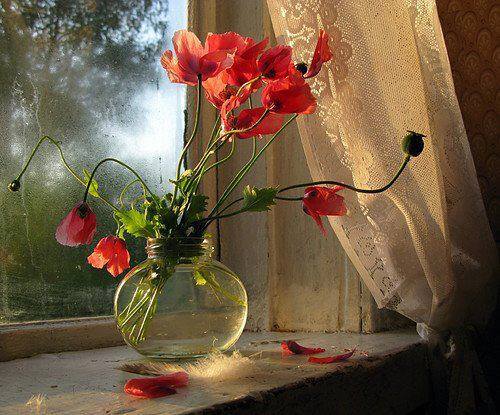 Восприятие меры