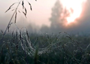 Вздыхает август за окном