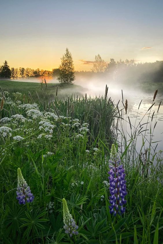 Вопрос себе...