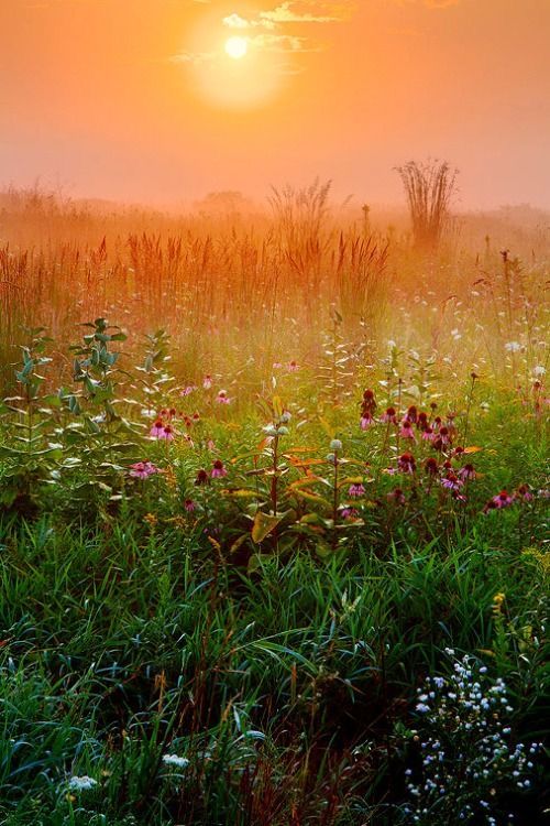 Неохваченная лирика