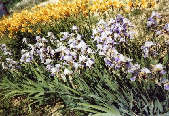 В последний путь