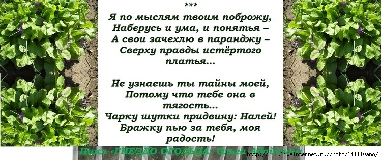 Я по мыслям твоим поброжу