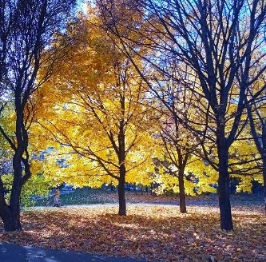 Останься радостью в Судьбе