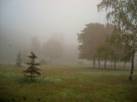 В ботаническом...