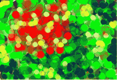 Клён и Осень