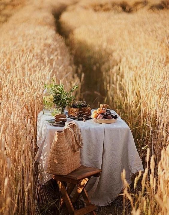 Поэта путь...