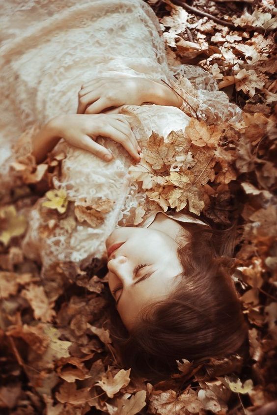 Стремления