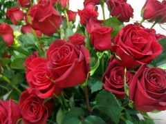 Сегодня милый позвонил мне...