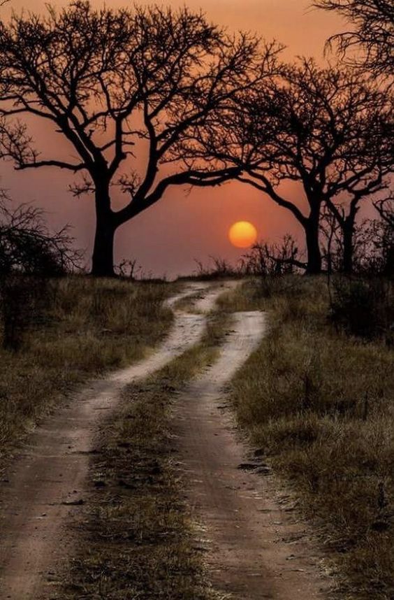 Возрастное