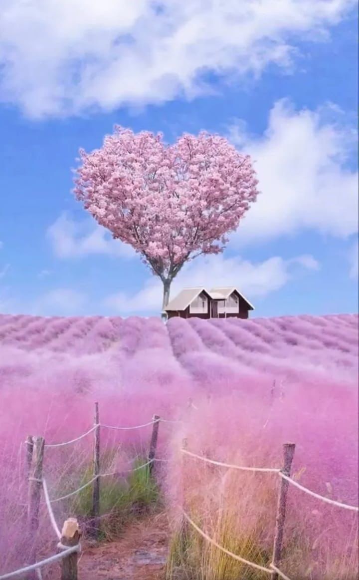 И ощущаю вновь, глядя в глаза твои...